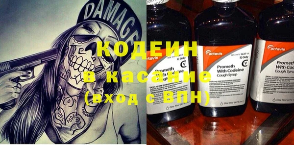 крисы Каменка