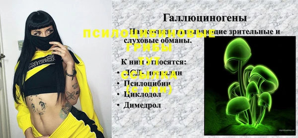 крисы Каменка
